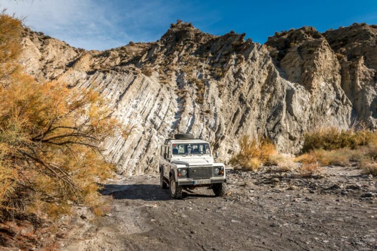 Transports Andalousie : Les meilleurs pour explorer la région
